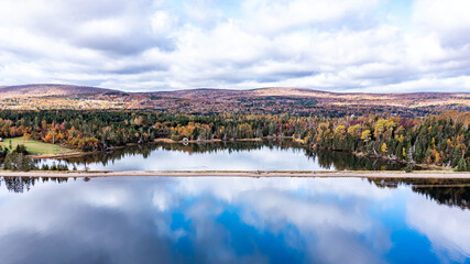 Drone view of Cape Breton Island, Autumn Colors in Forest, Forest Drone view, Colorful Trees in Forest