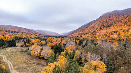Drone view of Cape Breton Island, Autumn Colors in Forest, Forest Drone view, Colorful Trees in Forest