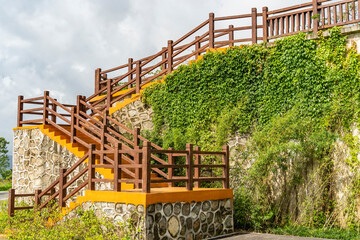 green walkway with ivy and stair