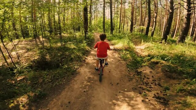Sports boy kid speed riding on mountain bike forest route with sunny natural trees back view