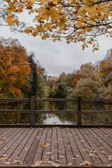 Naklejka na ściany i meble Brown Wooden Bridge over River Surrounded by Trees