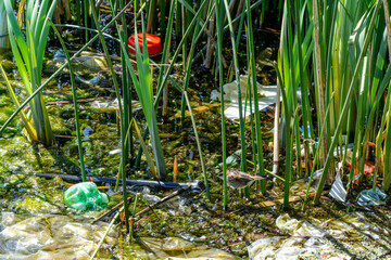 garbage in dirty and stagnant water