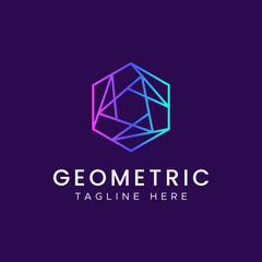 Geometric Polygonal Hexagon Line Logo with Gradient Color for Business Company Digital Network, Finance, Technology, Communication.