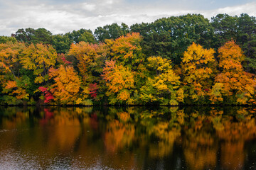 Autumn in New England