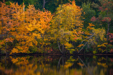 Autumn in New England