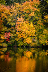 Obraz premium Autumn in New England