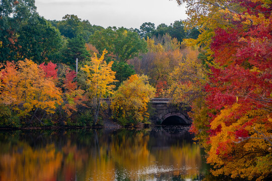 Train bridge in Autumn