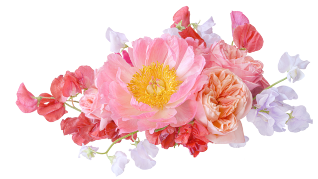 	
Bouquet of pink peonies and roses closeup isolated