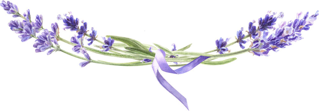 recommend clip art: Watercolor lavender bouquet, Provence flowers