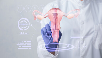 Gynecologist and female reproductive organs on virtual screen against grey background