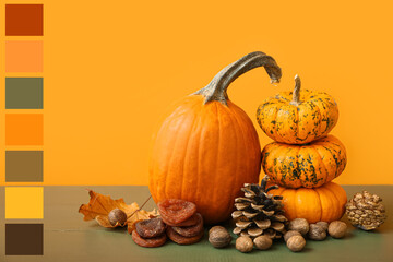 Autumn composition with pumpkins on orange background. Different color patterns