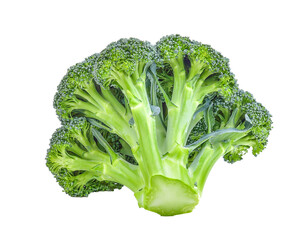 Broccoli on transparent png