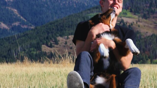 Australian Shepherd Playing With Owner In Bozeman Montana 4K