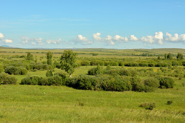 Fototapeta na wymiar Endless flat steppe with sparse thickets of bushes surrounded by hills under a summer cloudy sky.