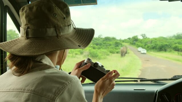woman photographer takes a picture with professional camera from touristic vehicle on tropical safari. Nature photographer in nature reserve at sunrise during spring. Photographer taking pictures