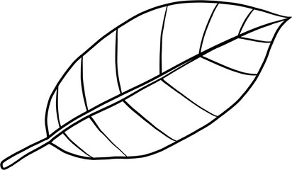 simplicity kratom leaf freehand drawing