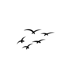 flying bird illustration