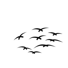 flying bird illustration