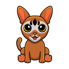 Cute abyssinian cat cartoon sitting