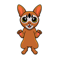 Cute abyssinian cat cartoon standing