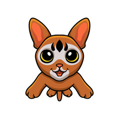 Cute abyssinian cat cartoon posing