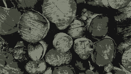 picture of weathered wood texture for wallpaper and background vector 
