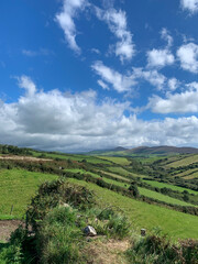 Fototapeta na wymiar Irish Countryside