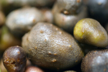 Japanese mountain delicacies, baby mountain yam, washed with water before being cooked.