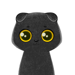 Scottish fold cat Black. Cute cat portrait. Cat breeds
