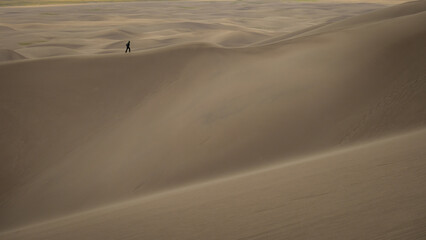 Walk Alone in Sand Dune
