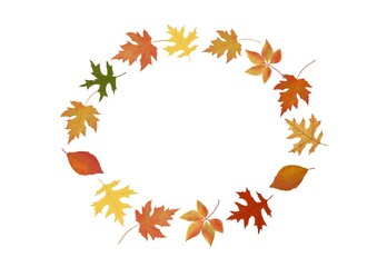 autumn leaves frame illustration 
가을 낙엽 프레임 일러스트 