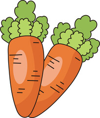 Fresh Carrot Illustration