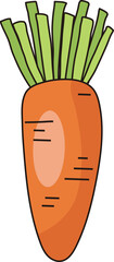 Fresh Carrot Illustration