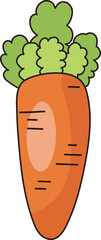 Fresh Carrot Illustration