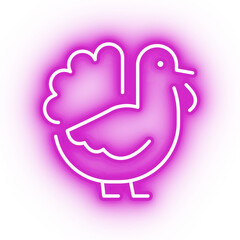 Neon pink turkey icon, bird illustration on transparent background