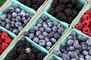 Various berries in boxes