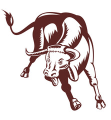 broad winged hawk perched on branch