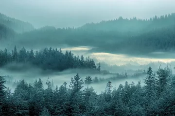 Zelfklevend Fotobehang Mistig bos Lake in the dark majestic evergreen forest. Mighty pine and spruce trees. Fog. Atmospheric landscape. Panoramic view