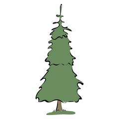 Tannenbaum