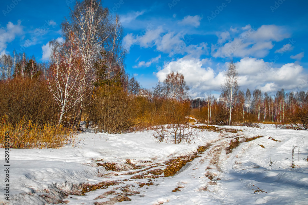 Canvas Prints forest in winter