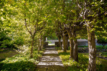 Obraz premium in the park