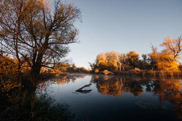 a quiet dawn on the lake surrounded by yellow trees