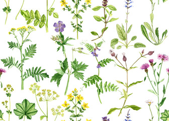 Fototapeta premium seamless pattern with drawing wild flowers and green leaves at white background , hand drawn botanical illustration