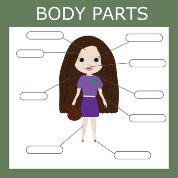 Write down the body parts of the girl. Educational game for children.