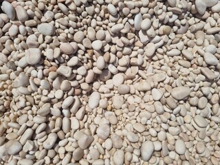 Fototapeta na wymiar white stones at beach of cala dei gabbiani , sardegna