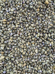 stone wall background