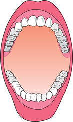 歯の検診  © FACTORIE