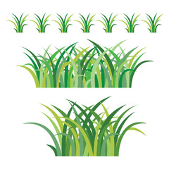 Fototapeta na wymiar set of green grass cartoon object on white background, vector illustration