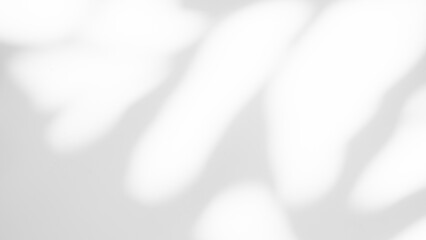 Blur Overlay Shadow Leaves Background,Abstract Sunlight effect Nature on Gray Cement Backdrop,Mock Up Display Free Space for add Products presentation,Structure Concrete Material Floor Construction.