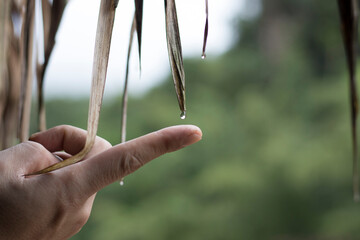 water drop on the finger.